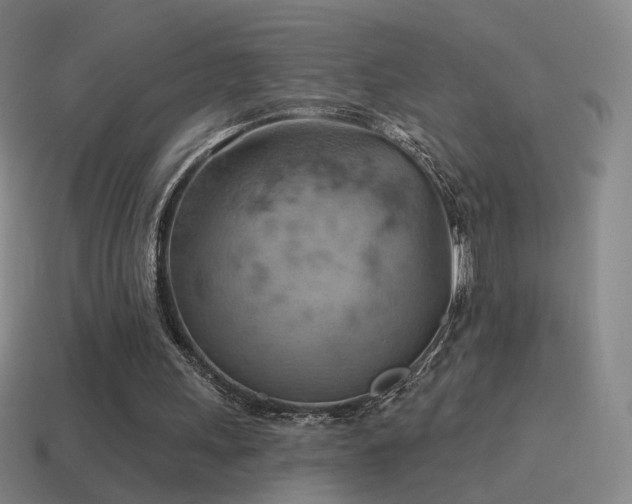 X0000115590243200911101244