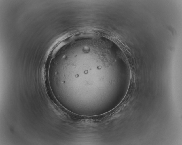 X0000115590244200911101244