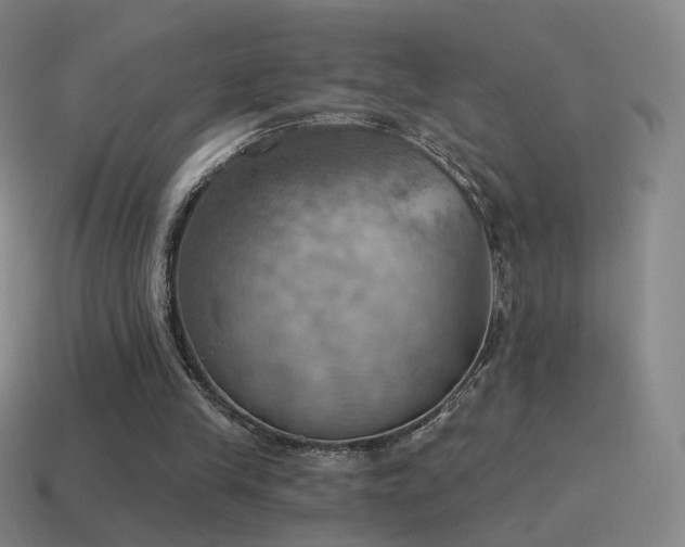 X0000115590245200911101244