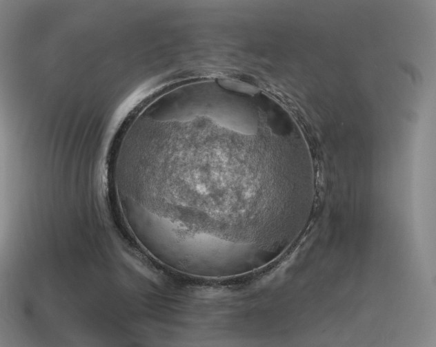 X0000115590246200911101244