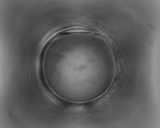 X0000115590247200911101244