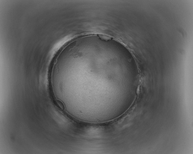 X0000115590248200911101244