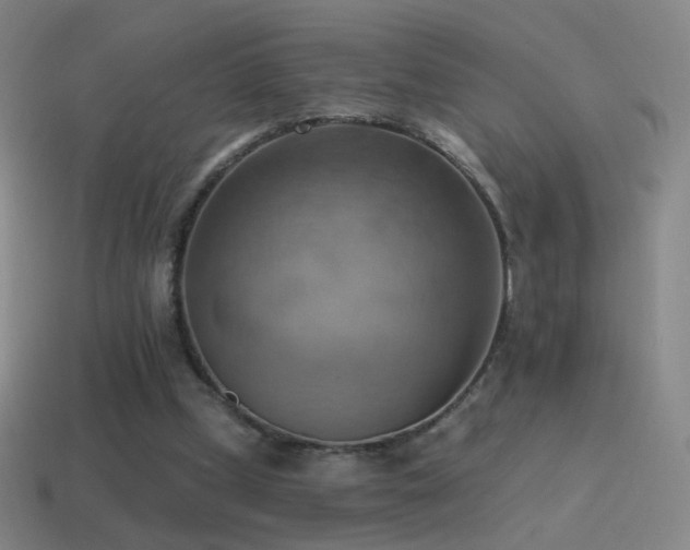 X0000115590249200911101244