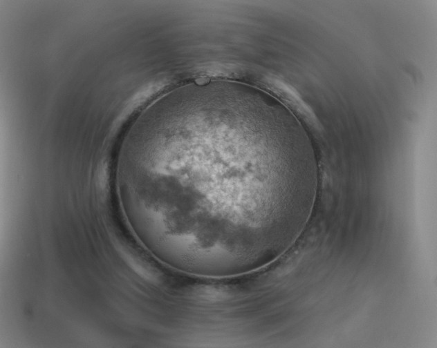 X0000115590250200911101244