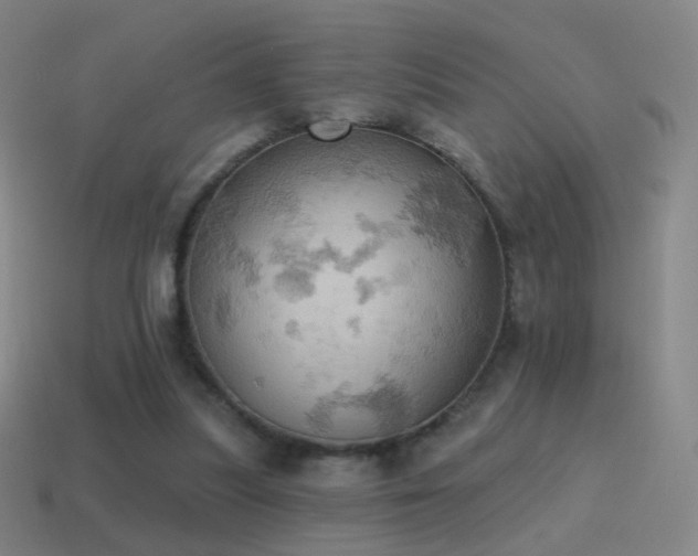 X0000115590251200911101244