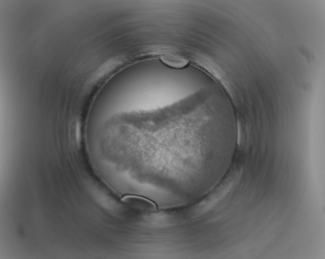 X0000115590253200911101244