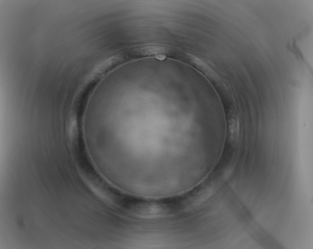 X0000115590254200911101244