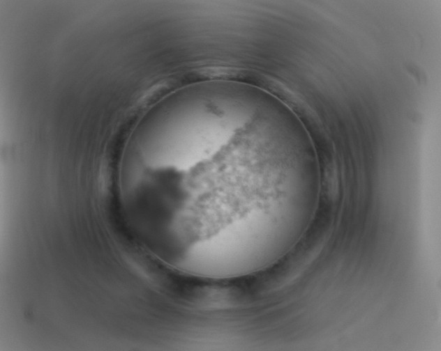 X0000115590255200911101244
