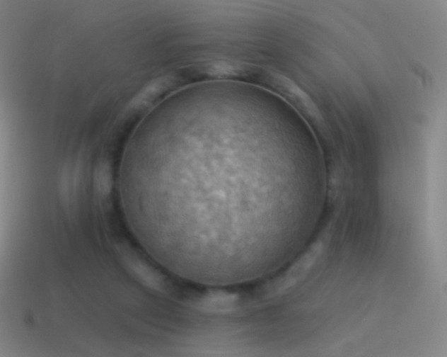 X0000115590257200911101244