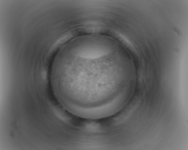 X0000115590258200911101244