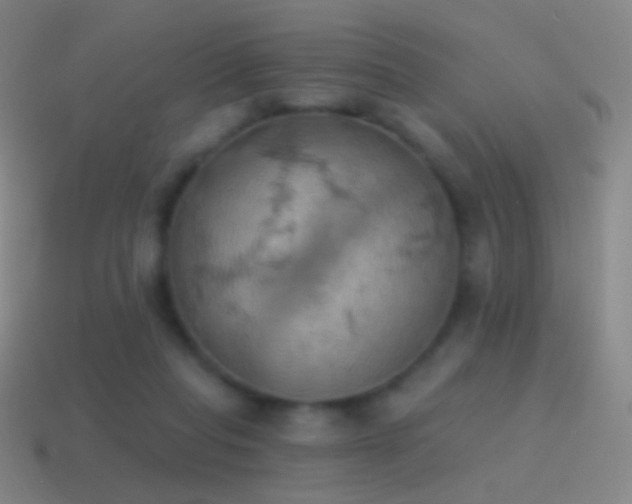 X0000115590261200911101244