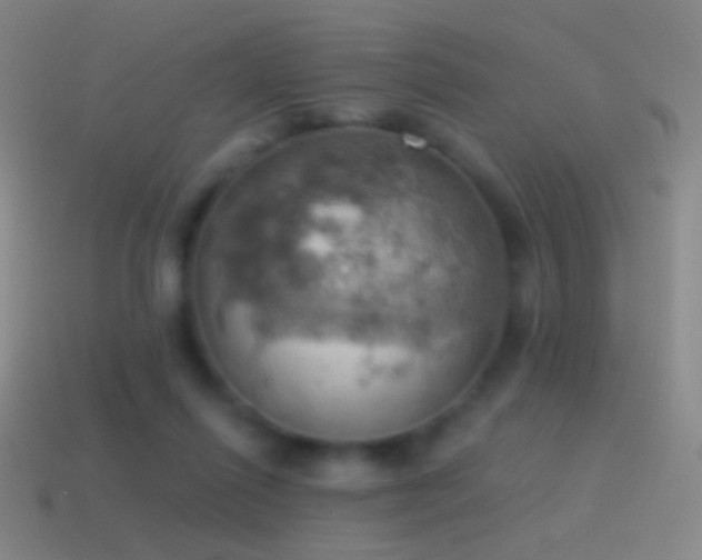 X0000115590262200911101244