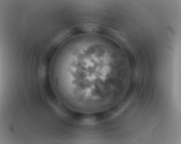 X0000115590263200911101244