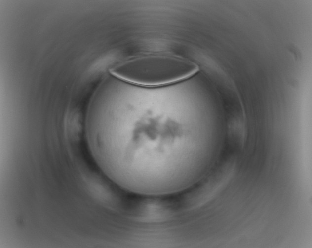 X0000115590264200911101244