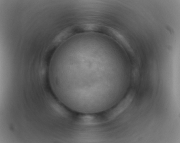 X0000115590265200911101244