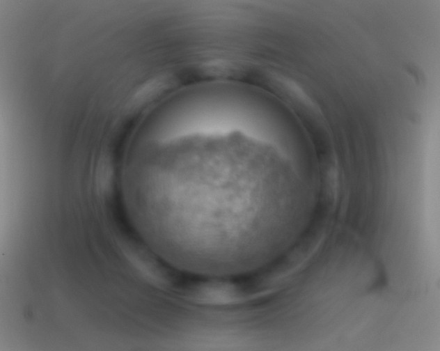 X0000115590266200911101244