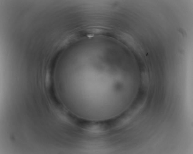 X0000115590267200911101244