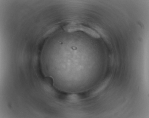 X0000115590269200911101244