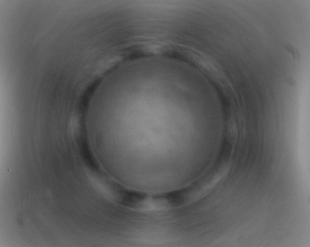 X0000115590270200911101244