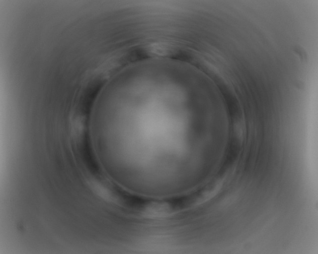 X0000115590271200911101244
