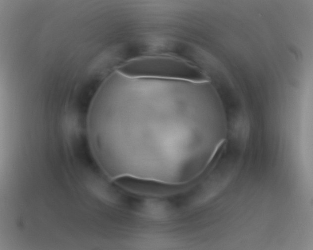 X0000115590272200911101244