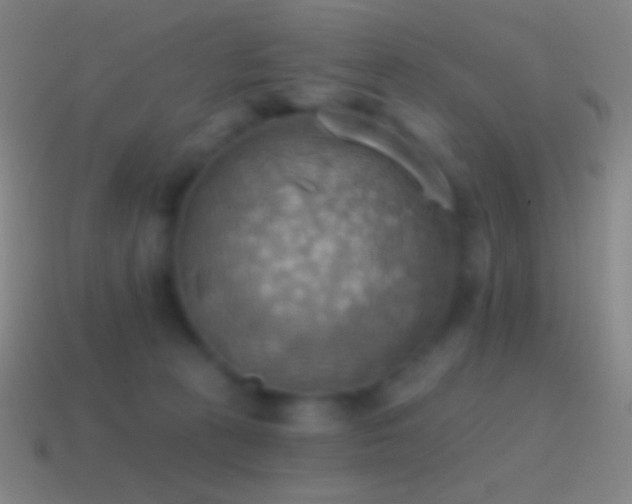 X0000115590273200911101244