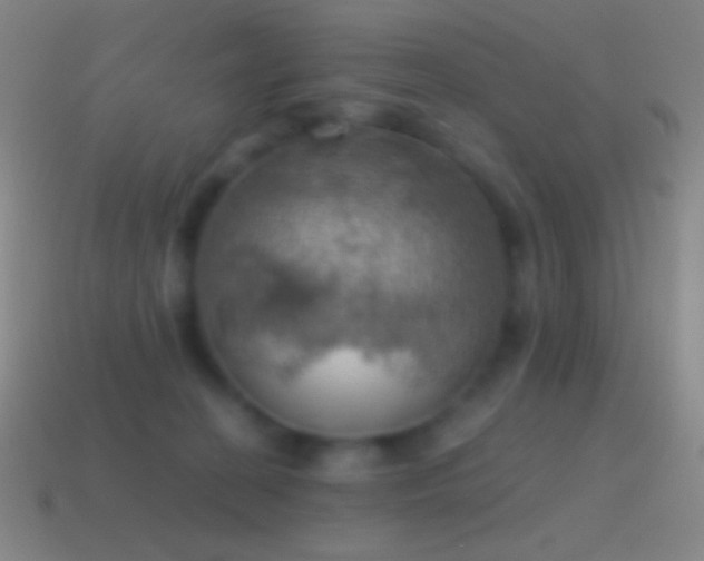 X0000115590274200911101244