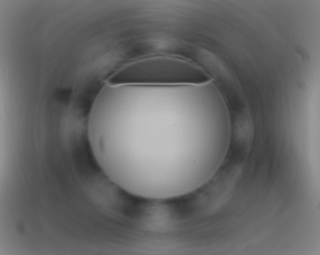 X0000115590276200911101244