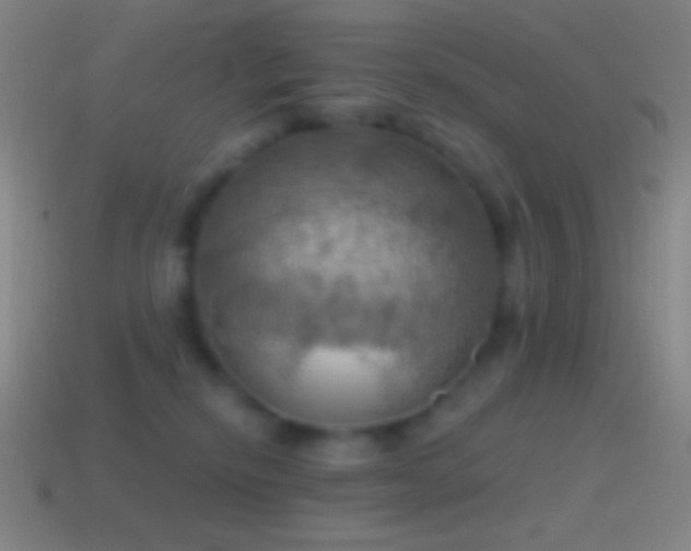 X0000115590278200911101244