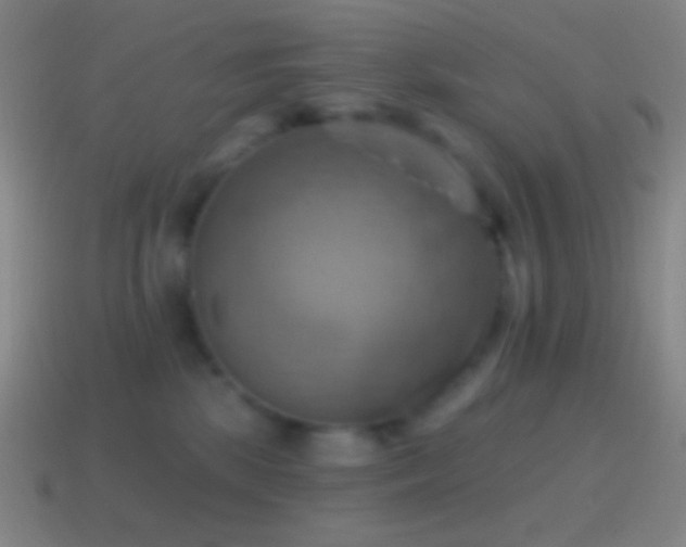 X0000115590281200911101244