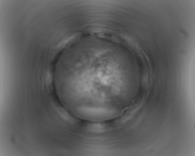 X0000115590282200911101244