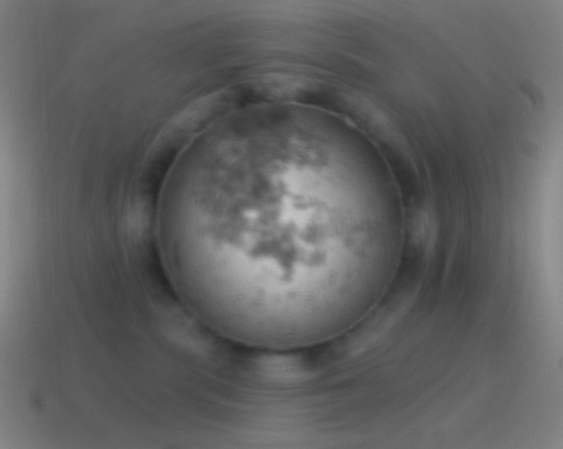 X0000115590283200911101244