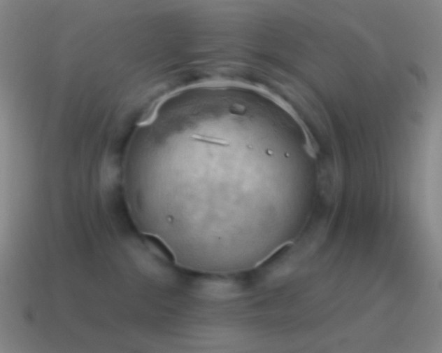 X0000115590284200911101244