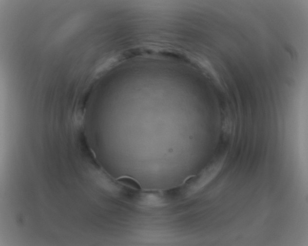 X0000115590285200911101244