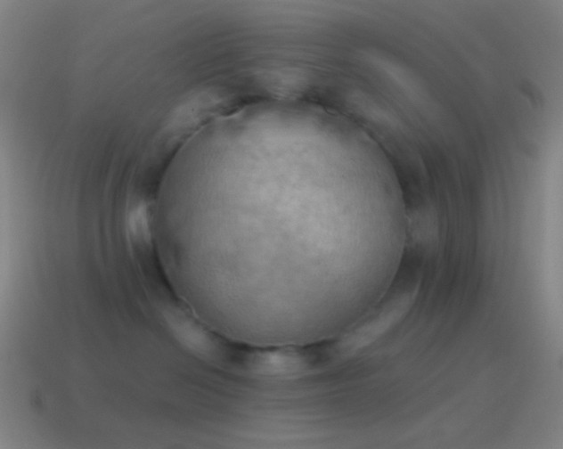 X0000115590286200911101244