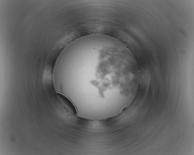 X0000115590287200911101244