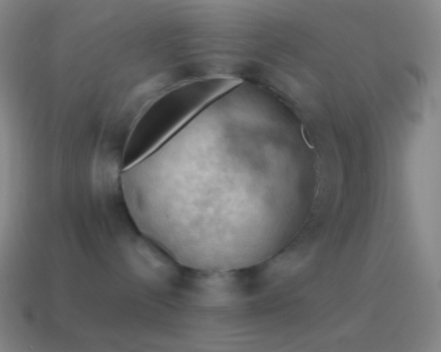 X0000115590288200911101245