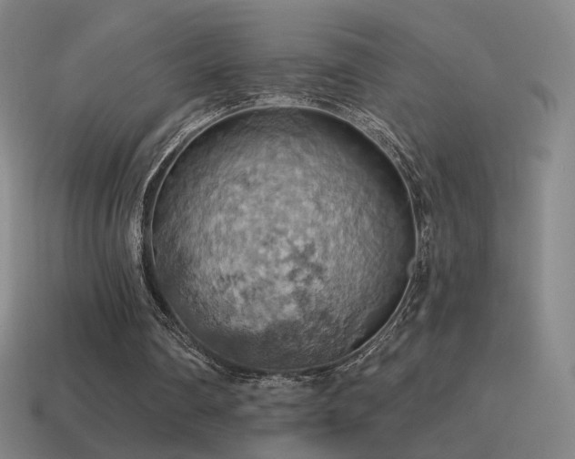 X0000115590290200911101244