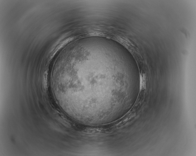 X0000115590291200911101244