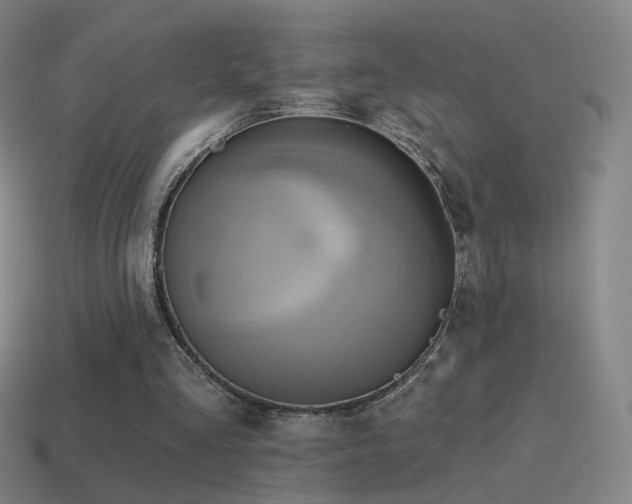X0000115590293200911101244