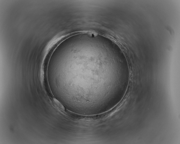X0000115590294200911101244
