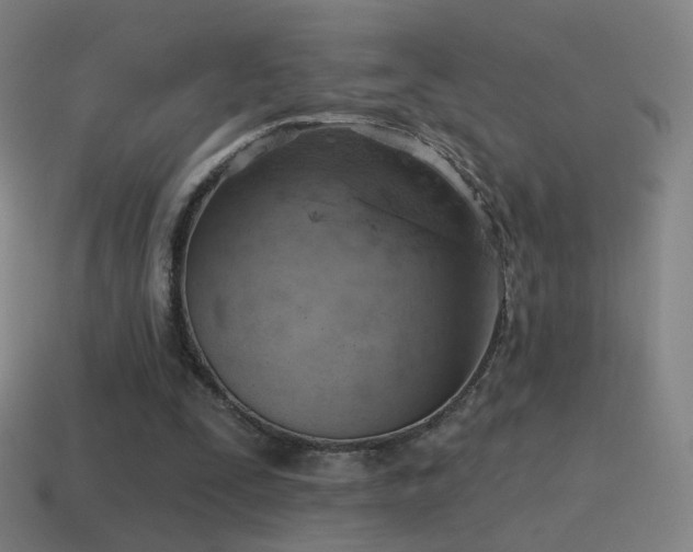 X0000115590295200911101244