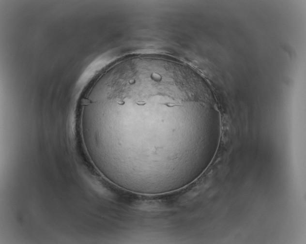 X0000115590296200911101244