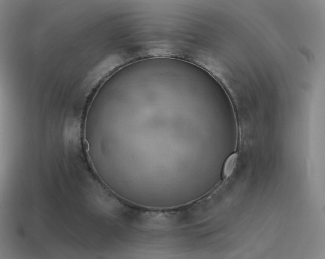 X0000115590297200911101244