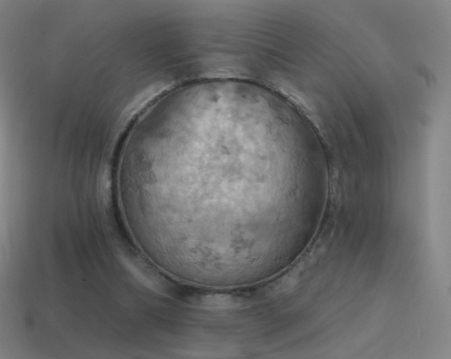 X0000115590298200911101244