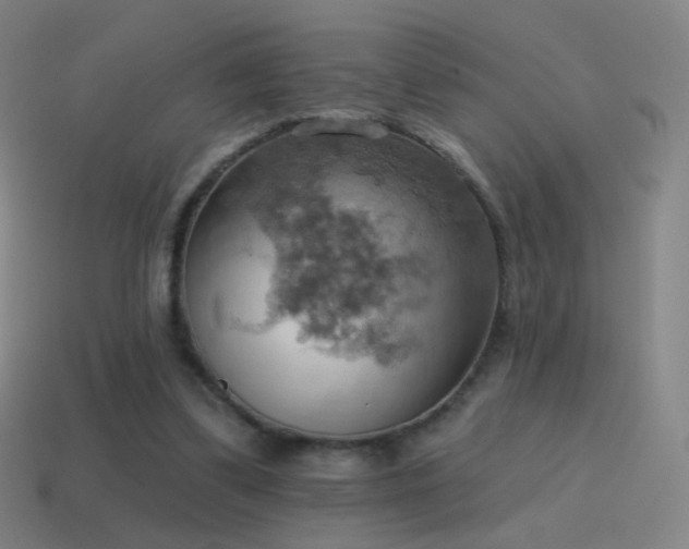 X0000115590299200911101244
