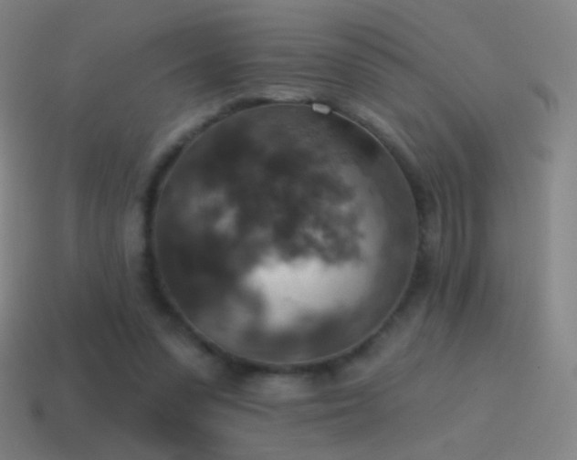 X0000115590303200911101244