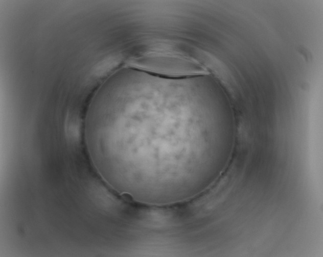 X0000115590305200911101244