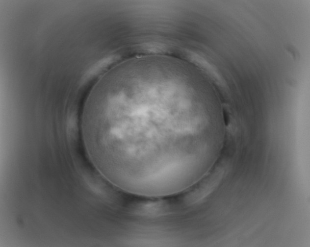 X0000115590306200911101244