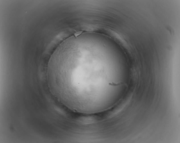 X0000115590307200911101244